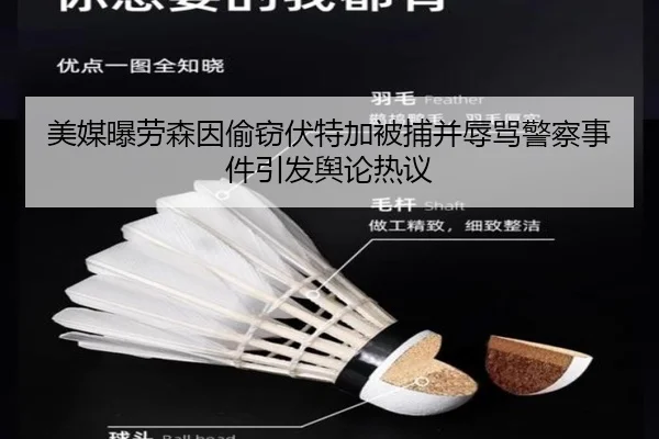 美媒曝劳森因偷窃伏特加被捕并辱骂警察事件引发舆论热议